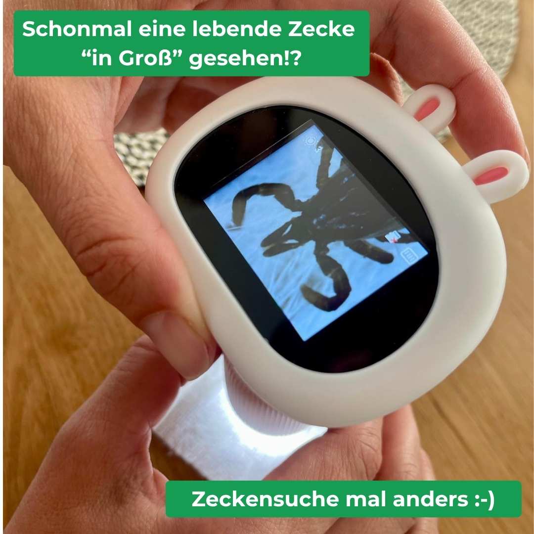 Luupinho™ – Das Forscher-Taschenmikroskop für Kids
