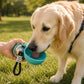 AquaBall - smarte Hundetrinkflasche für unterwegs
