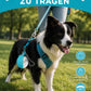 AquaBall - smarte Hundetrinkflasche für unterwegs